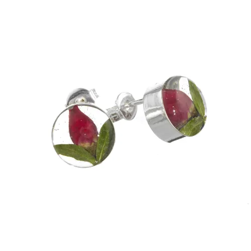 Shrieking Violet Earrings Rosebud Round Silver - Option1 Value Silver