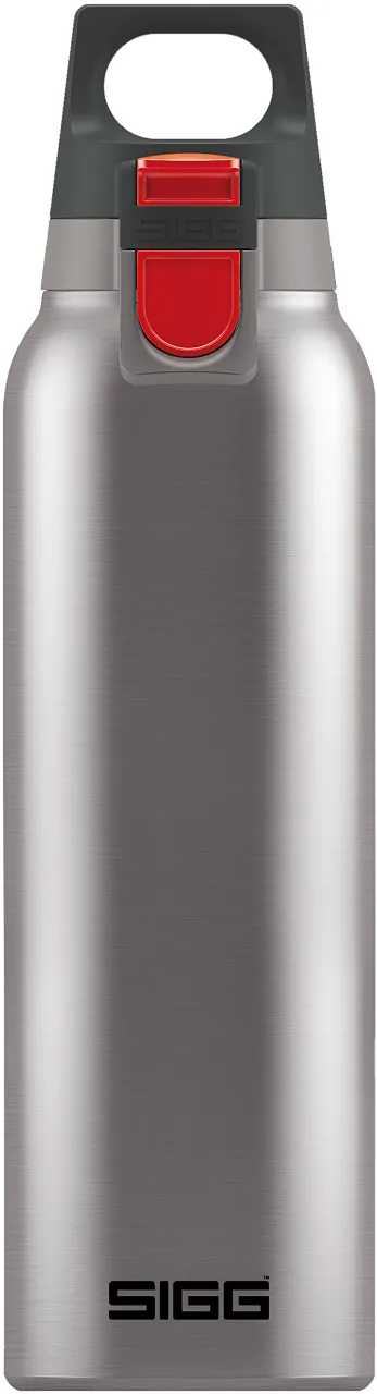 SIGG - Insulated Water Bottle - Thermo Flask Hot & Cold One