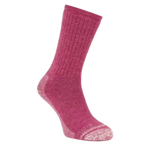 Silverpoint Alpaca Merino Wool Hiker Sock (Raspberry)