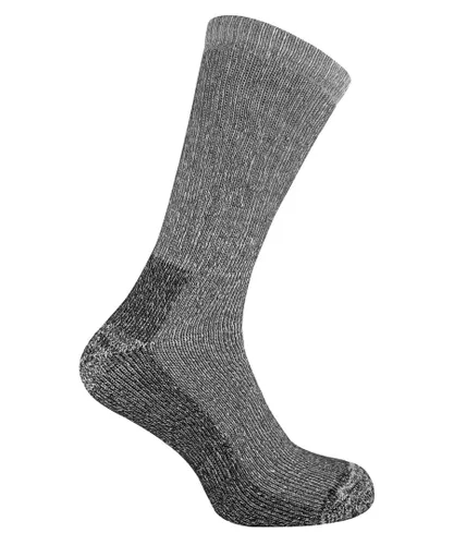 Sock Snob Mens 2 pack breathable cushioned heel and toe thermal wool hiking socks - Black
