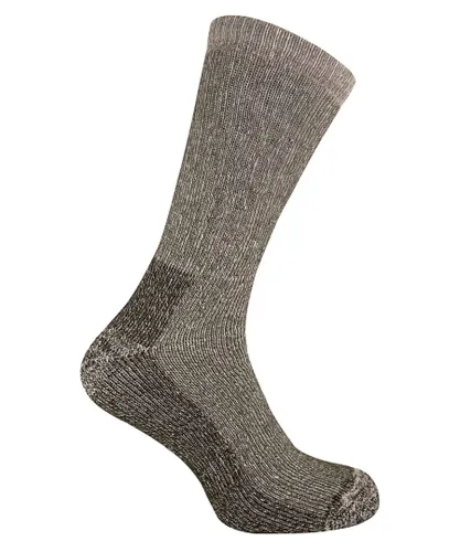 Sock Snob Mens 2 pack breathable cushioned heel and toe thermal wool hiking socks - Brown