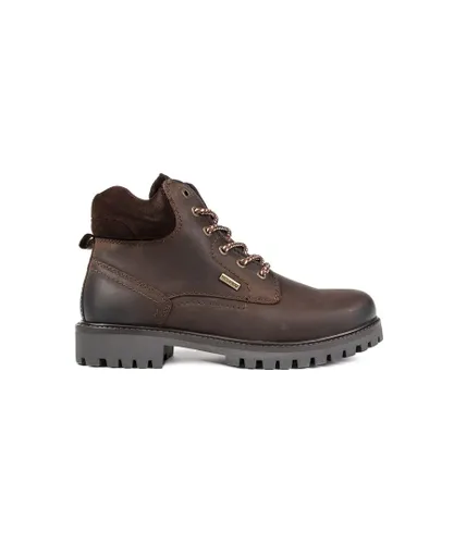 Sole Mens Wilby Chukka Boots - Brown