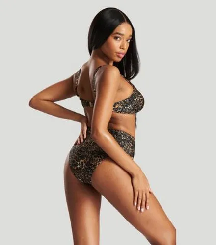 South Beach Brown Leopard Print Underwired Bikini Set New Look