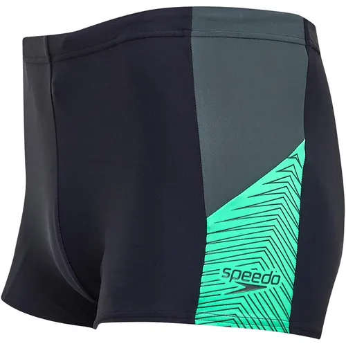Speedo Mens Dive Aqua Shorts Blue/Green
