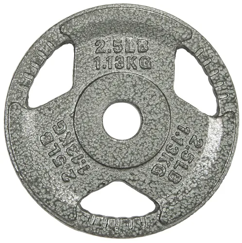 Sporzon! Cast Iron 1-Inch Grip Plate Weight Plate for