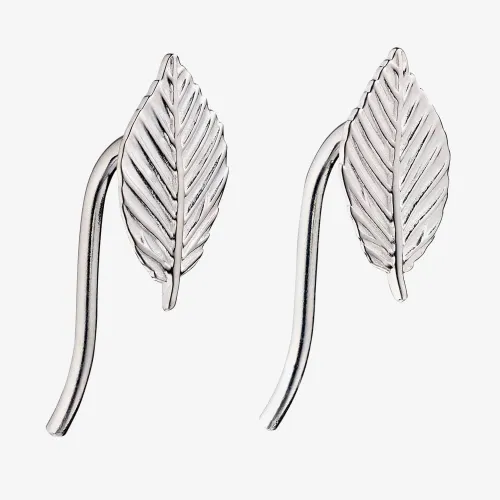 Sterling Silver Leaf Hook Stud Earrings E5687