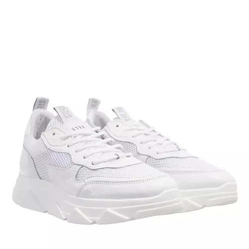 Steve Madden Sneakers - Pitty - white - Sneakers for ladies