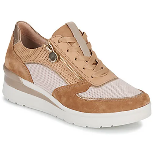 Stonefly  CREAM 40  women's Shoes (Trainers) in Brown