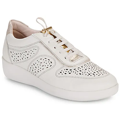 Stonefly  PASEO IV 28 NAPPA LTH  women's Shoes (Trainers) in White