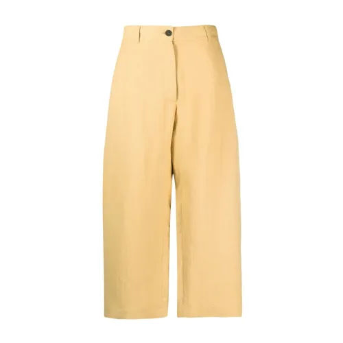 Studio Nicholson , Yellow Linen High Waist Wide Leg Trousers ,Beige female, Sizes: