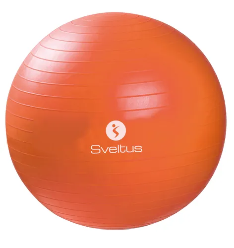Sveltus Gymball 55 cm Adult Unisex