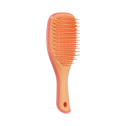 Tangle Teezer | The Mini Ultimate Detangler Hairbrush