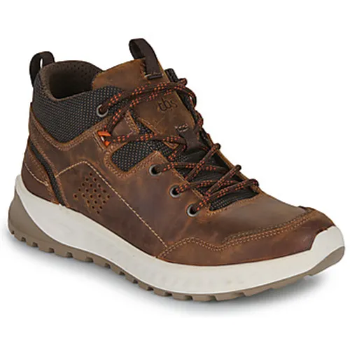 TBS  LAWRENS  men's Shoes (High-top Trainers) in Brown