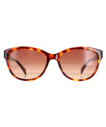 Ted Baker Cat Eye Womens Havana Brown Gradient TB1605 Amie Sunglasses - One