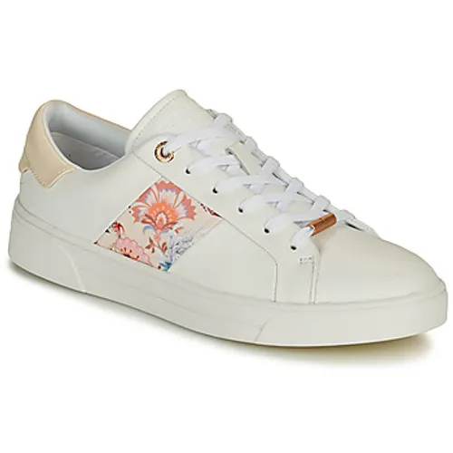 Ted Baker  HUDEP  women's Shoes (Trainers) in White