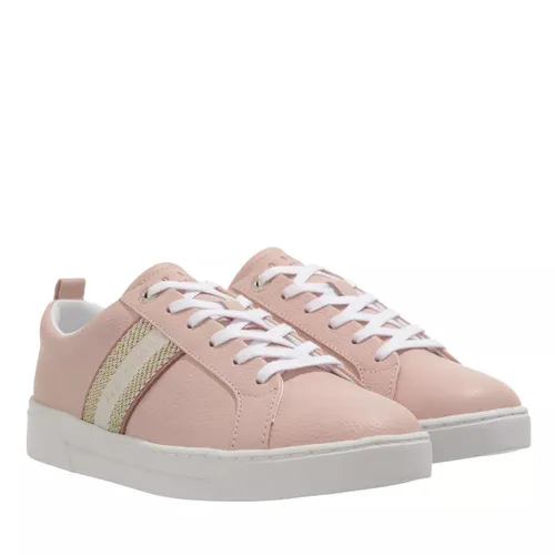 Ted Baker Sneakers - Baily Webbing Cupsole Trainer - rose - Sneakers for ladies