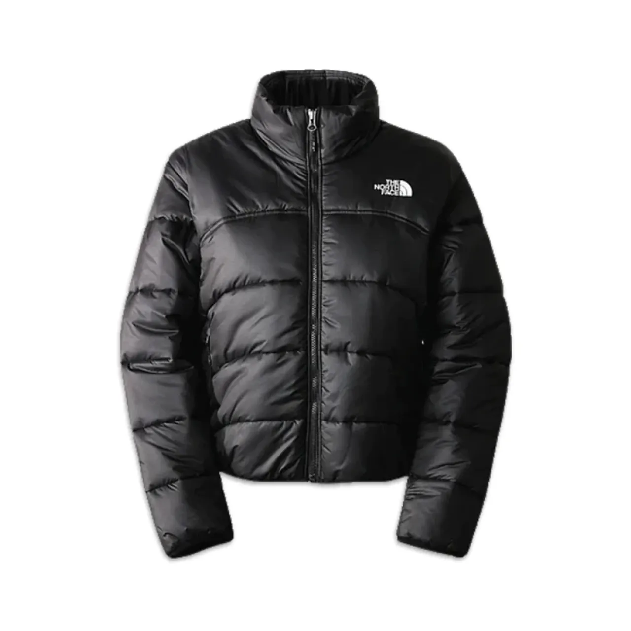 The North Face , 2000 TNF Jacket for Women ,Black female, Sizes: