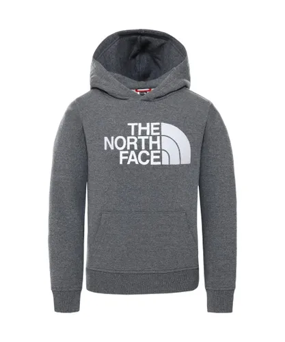 The North Face Childrens Unisex Kids Drew Peak Embroidery Hoodie Grey Cotton