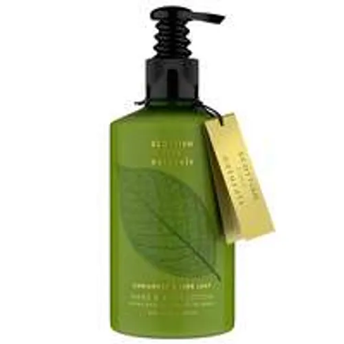 The Scottish Fine Soaps Company Coriander and Lime Leaf Hand and Body Lotion 300ml