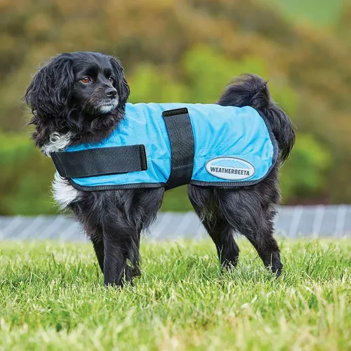 Therapy-Tec Cooling Dog Coat - Blue, Blue