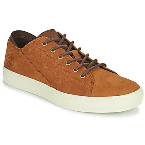 Timberland  ADV 2.0 CUPSOLE MODERN OX  men's Shoes (Trainers) in Brown