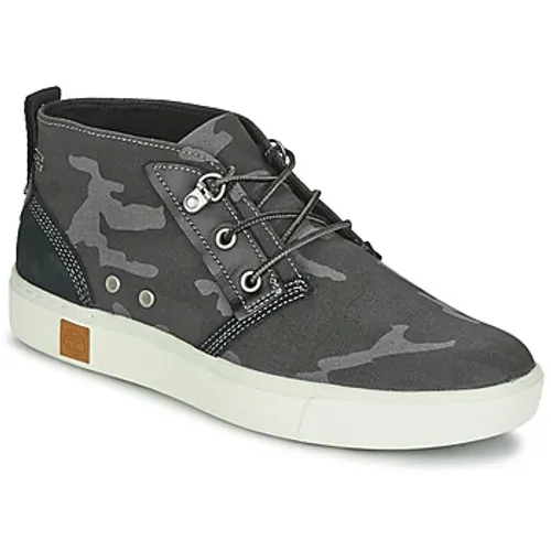 Timberland  AMHERST CHUKKA  men's Shoes (High-top Trainers) in Grey