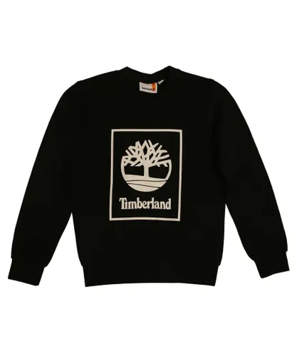 Timberland Boys Boy's Juniors Ambience Sweatshirt in Black Cotton