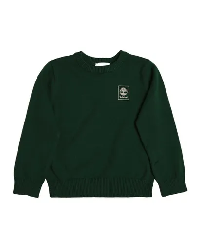 Timberland Boys Boy's Juniors Kintted Cotton Jumper in Green