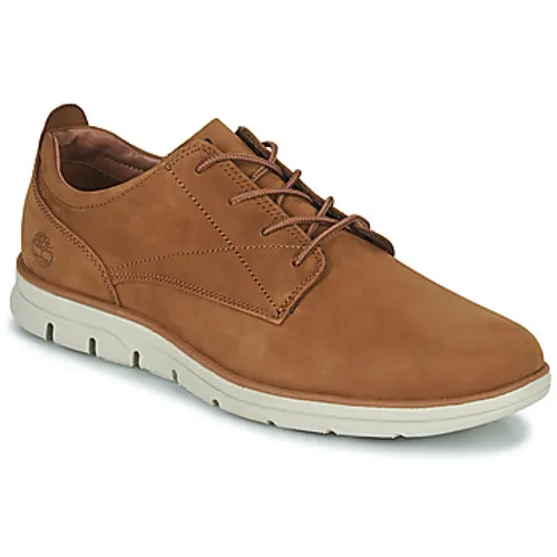 Timberland  BRADSTREET  men's Shoes (Trainers) in Brown