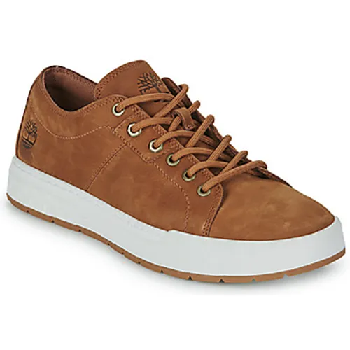 Timberland  MAPLE GROVE  men's Shoes (Trainers) in Brown