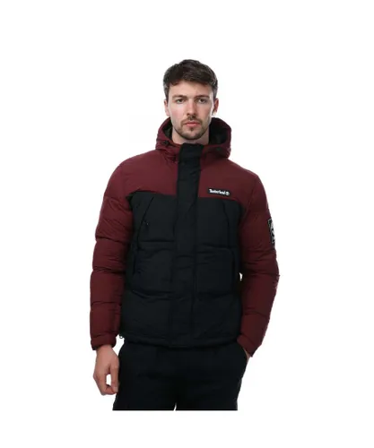 Timberland Mens Outdoor Archive Puffer Jacket in Black