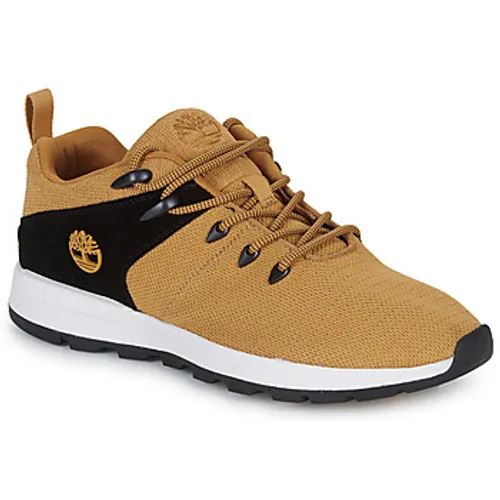 Timberland  SPRINT TREKR LOW KNIT  men's Shoes (Trainers) in Brown