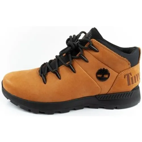 Timberland  TB0A2FEP231  men's Walking Boots in multicolour