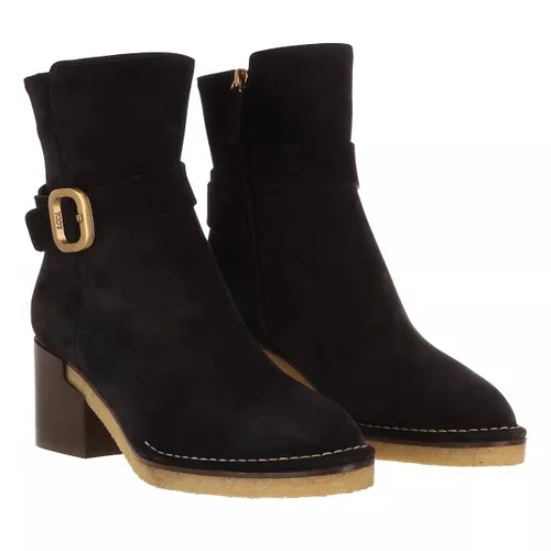 Tod's Boots & Ankle Boots - Buckle Strap Ankle Boots Suede - black - Boots & Ankle Boots for ladies