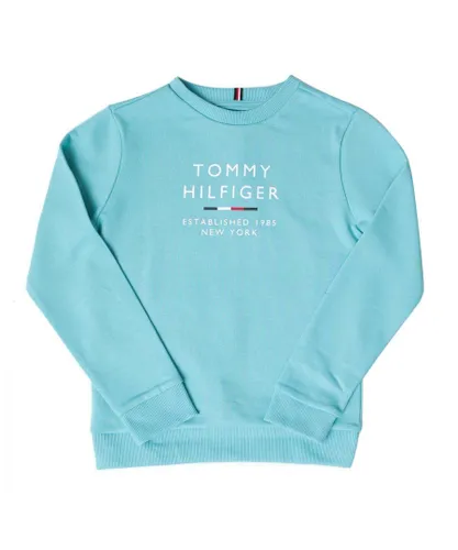 Tommy Hilfiger Boys Boy's Logo Crew Neck Sweatshirt in Turquoise Cotton