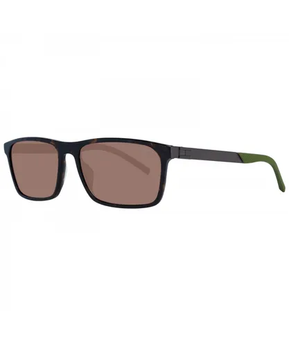 Tommy Hilfiger Brown Mens Sunglasses - One