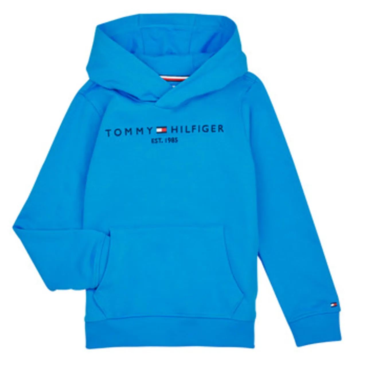 Tommy Hilfiger  ESTABLISHED LOGO  boys's Children's sweatshirt in Blue