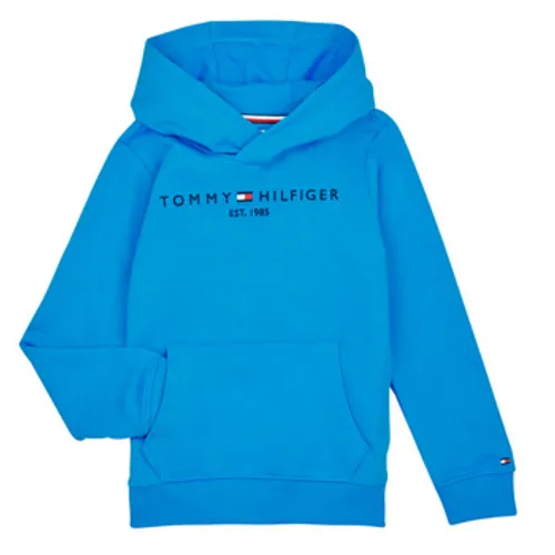 Tommy Hilfiger  ESTABLISHED LOGO  boys's Children's sweatshirt in Blue