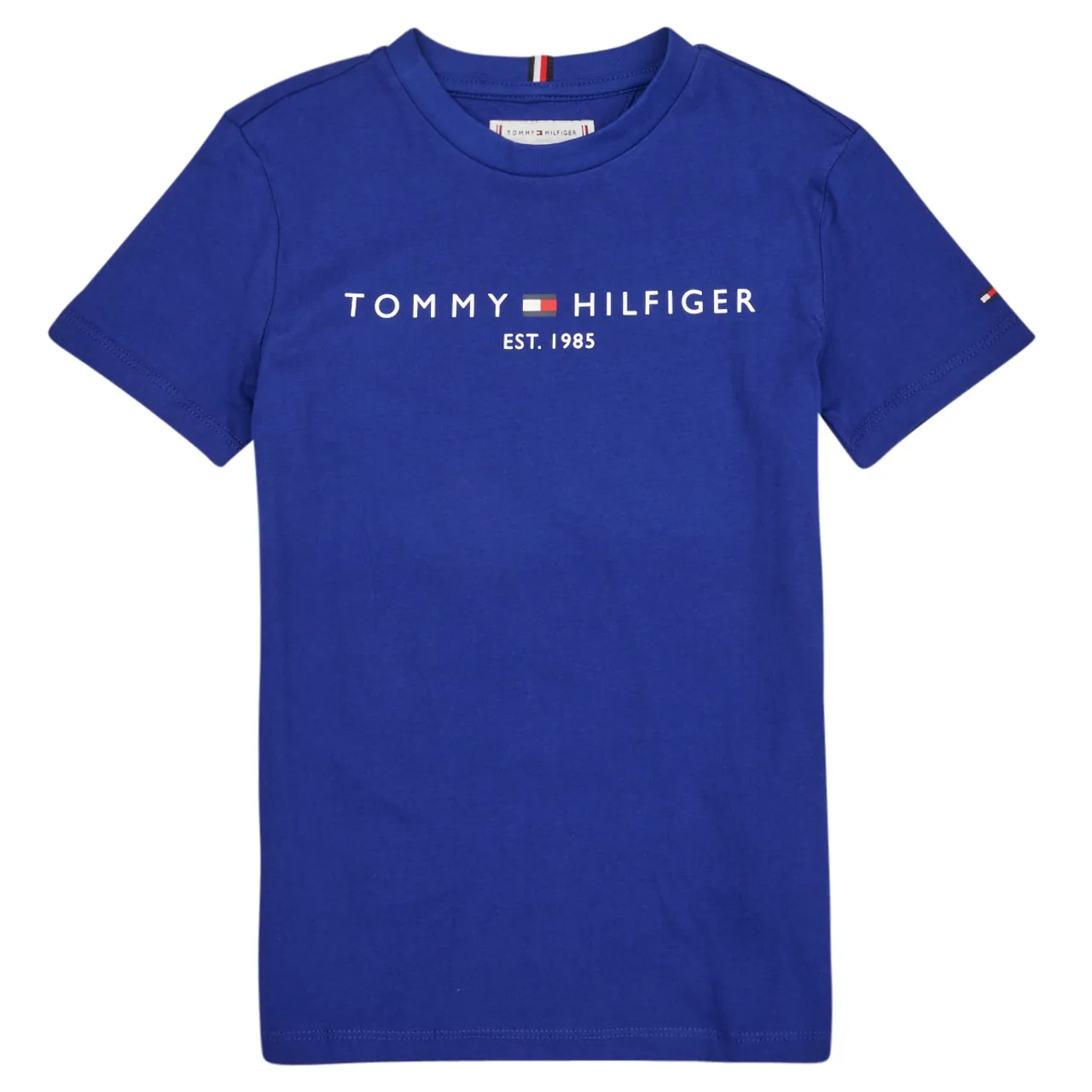 Tommy Hilfiger  ESTABLISHED LOGO  boys's Children's T shirt in Blue