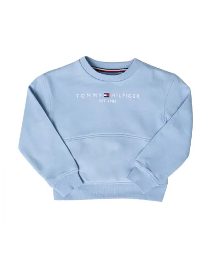 Tommy Hilfiger Girls Girl's Essential Kangaroo Pocket Sweatshirt in Light Blue Cotton