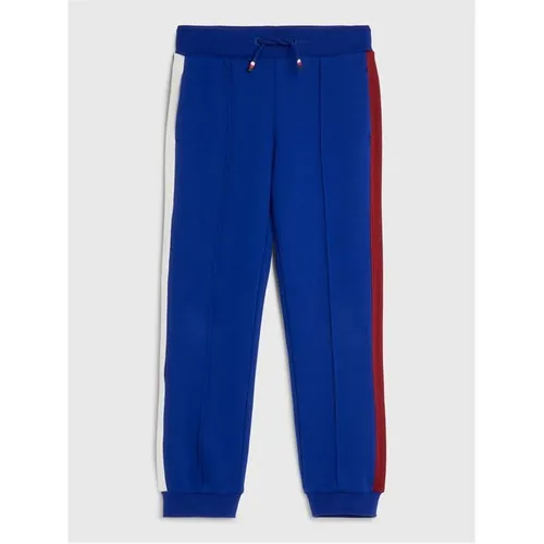 Tommy Hilfiger Global Stripes Sweatpants - Blue