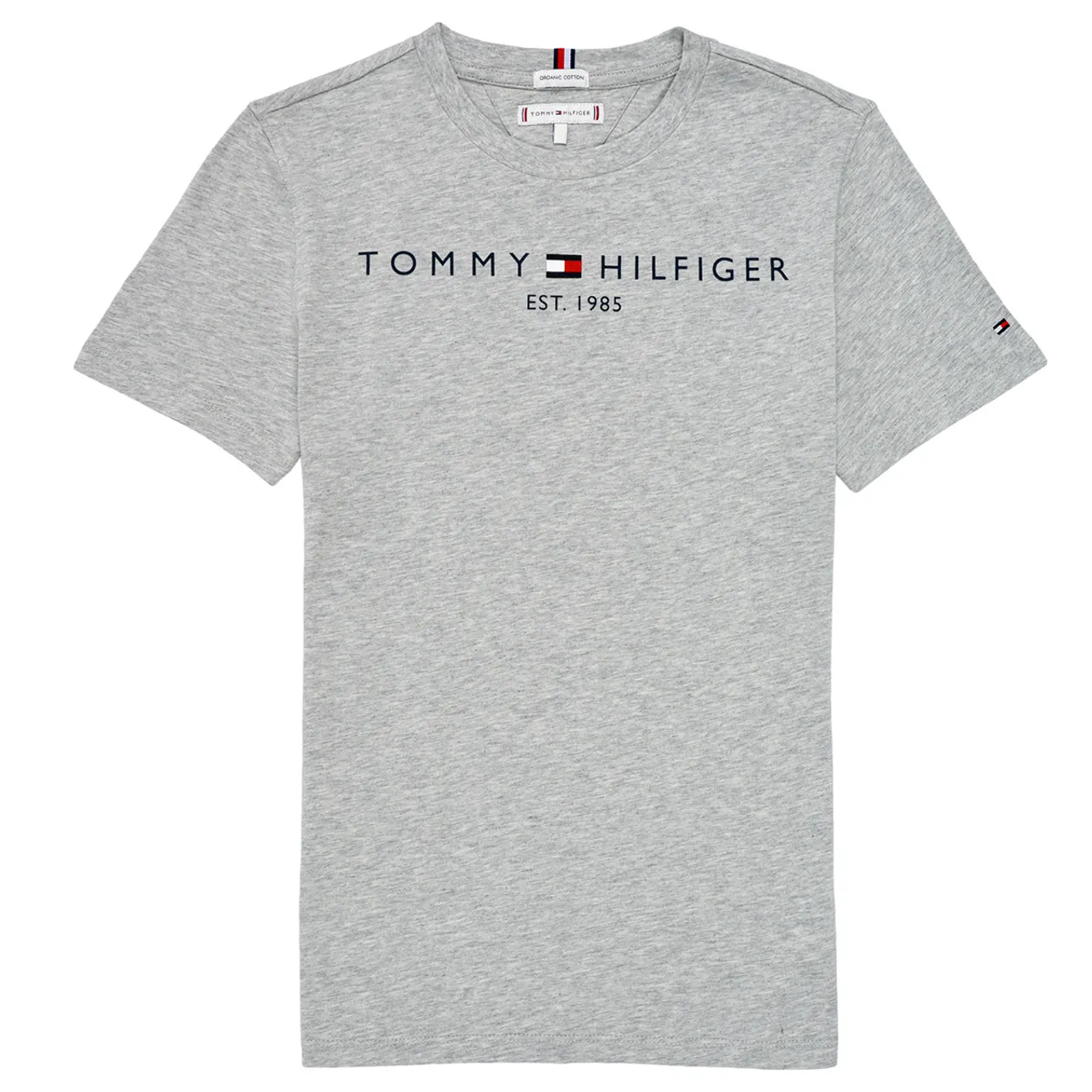 Tommy Hilfiger  GRANABLI  boys's Children's polo shirt in Grey