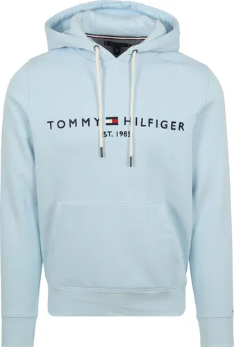 Tommy Hilfiger Hoodie Logo Light Light blue Blue