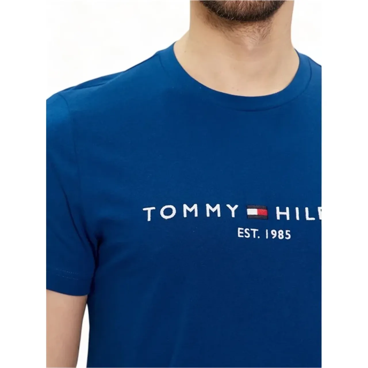 Tommy Hilfiger , T-Shirts ,Blue male, Sizes: