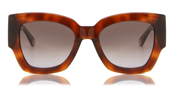 Tommy Hilfiger TH 1862/S C9B/HA Women's Sunglasses Tortoiseshell Size 51