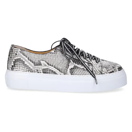 Truman's , Grey Low Top Sneaker in Calf Leather ,Gray female, Sizes: