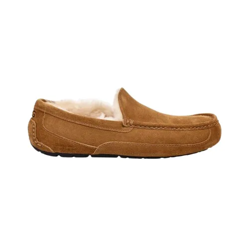 UGG , Ascot Slippers ,Brown male, Sizes: