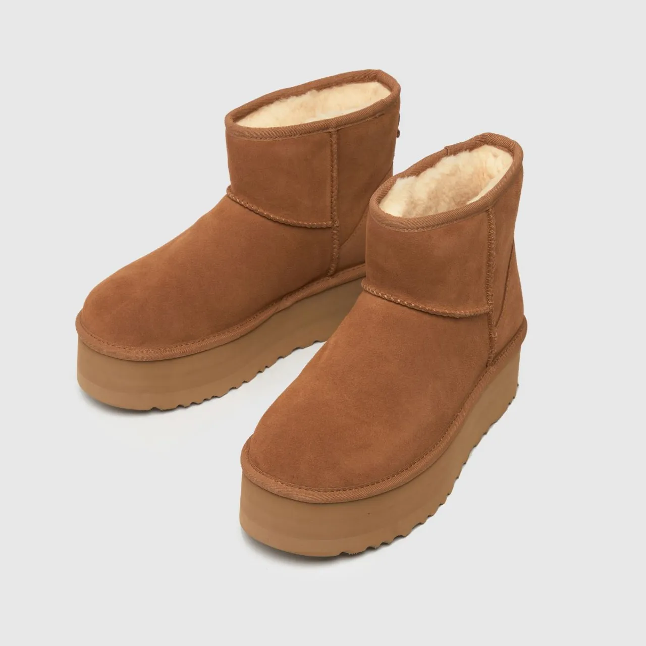 Ugg Classic Mini Platform Boots In Tan