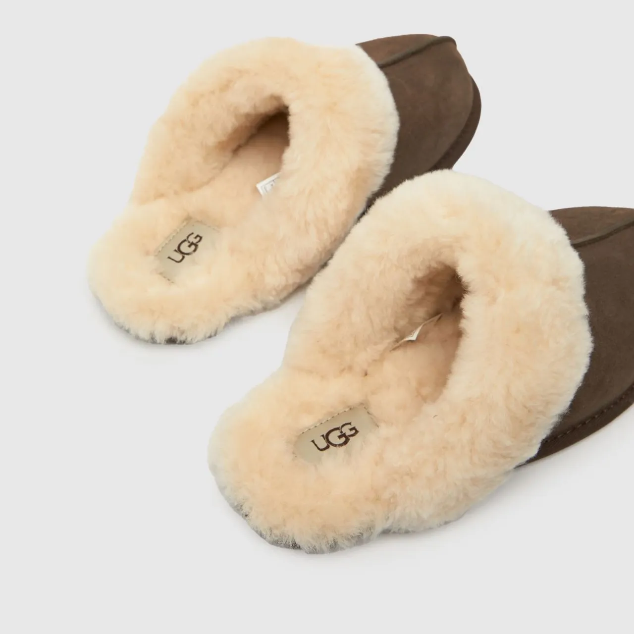 Ugg Ladies Brown Scuffette II Slippers