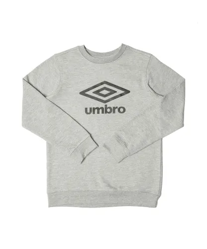 Umbro Boys Boy's Large Logo Crew Sweat in Grey Cotton